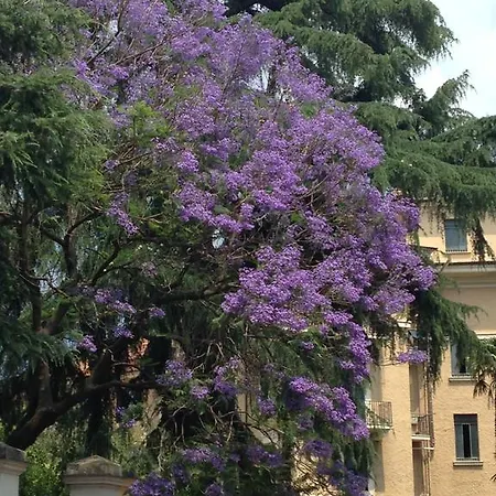 In Isole Pensionat Rom